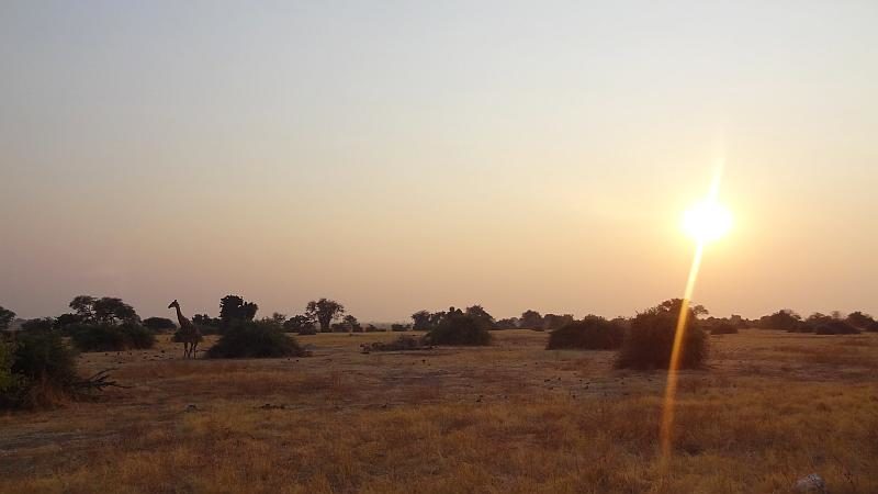 Sonnenaufgang im Chobe-Nationalpark