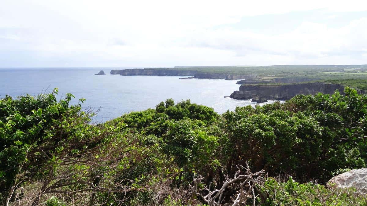 Pointe de la Grande Vigie, Grande-Terre, Guadeloupe