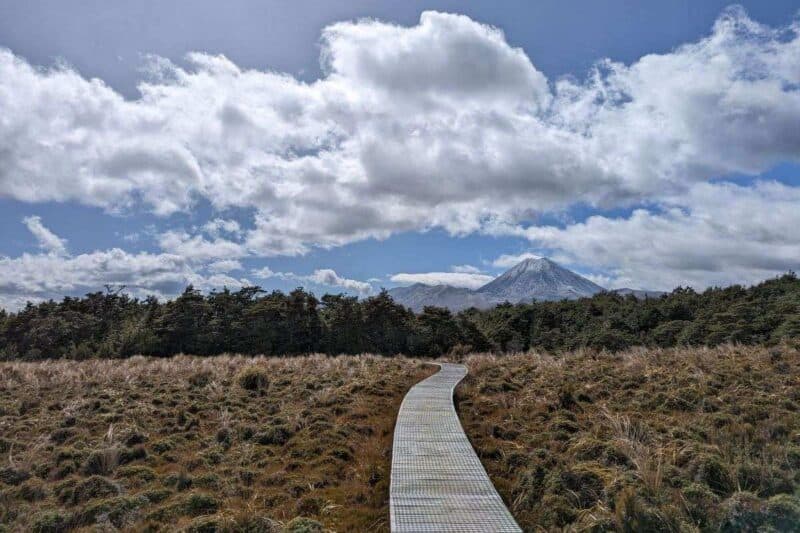 Holzsteg durch ein Moor mit Blick auf den Mount Ngauruhoe im Tongariro National Park