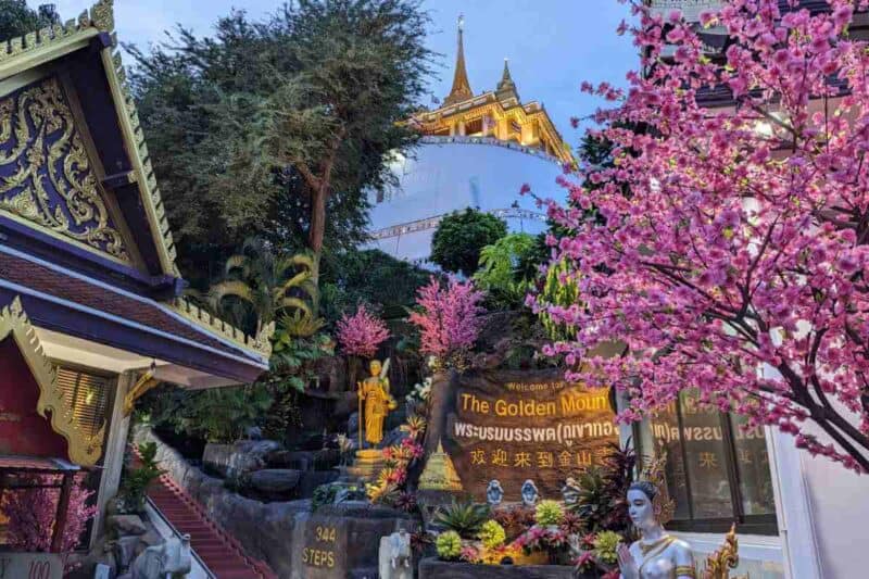 Blick von unten auf die goldenen Spitzen des Wat Saket in Bangkok, gerahmt von rosa Kirschblüten