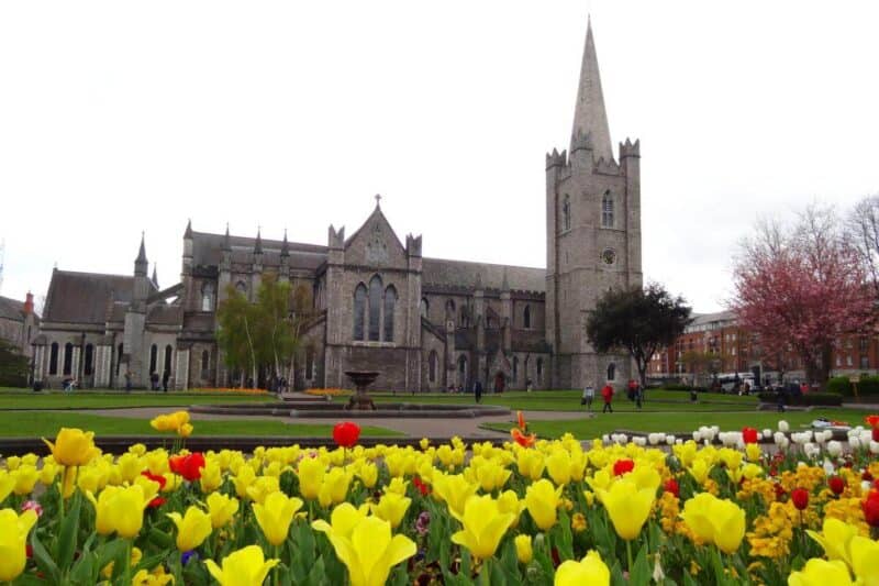 Turm und Längsschiff der St. Patrick's Cathedral, gerahmt von gelben Blumen im zugehörigen Park