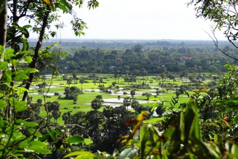 Blick über Reisfelder vom Phnom Bakheng