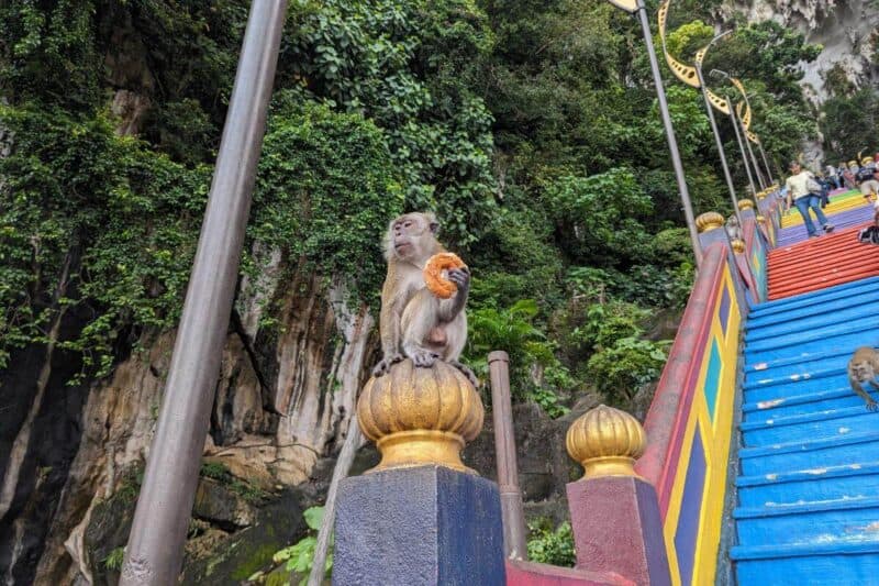 Affe mit erbeutetem Donut auf den Treppen zu den Batu Caves