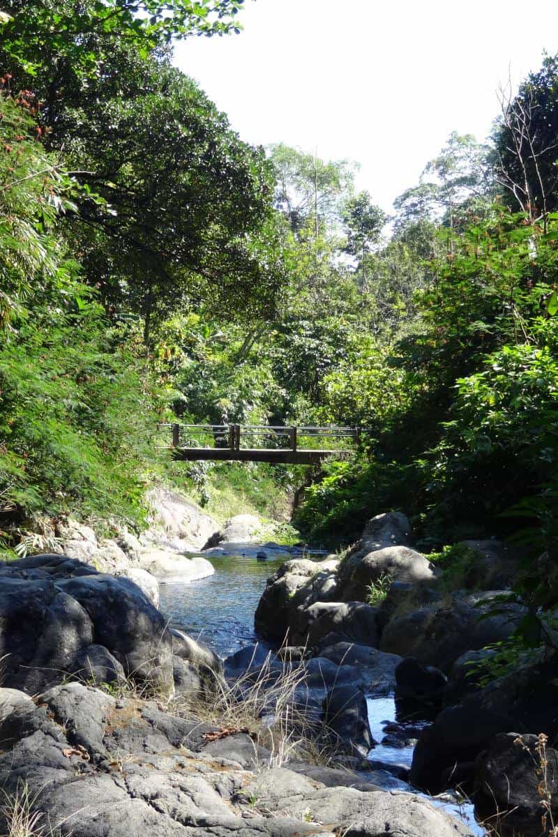 Eine schmale Holzbrücke führt über einen Fluss in den Wald zum Gitgit Waterfall
