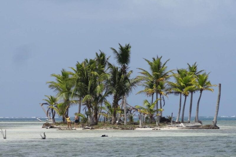 Eine kleine Insel mit Palmen liegt im flachen karibischen Wasser